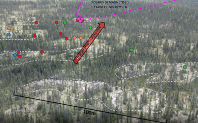 Highly Fractionated Pegmatites Confirm Drill Target